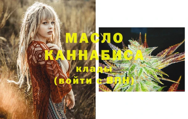 индика Нефтегорск