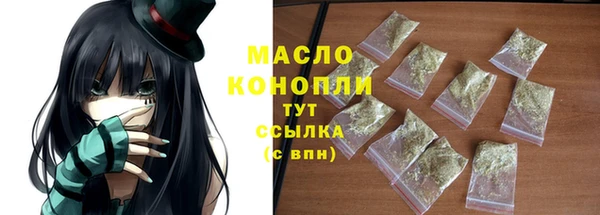 индика Нефтегорск
