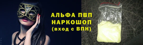 индика Нефтегорск