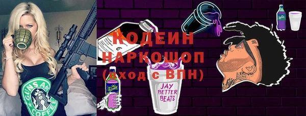 индика Нефтегорск