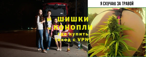 индика Нефтегорск